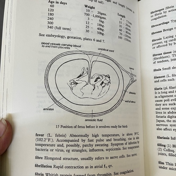 The Horse’s Health From A to Z An Equine Veterinary Dictionary 1978 - Picture 10 of 16